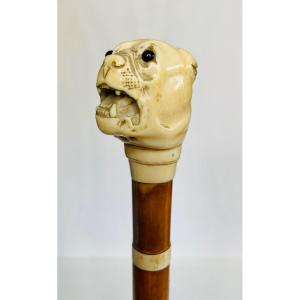 Ivory Mastiff Head Cane 